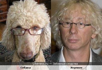 1266759983_dvojjniki-(www.votrube.ru)1.jpg