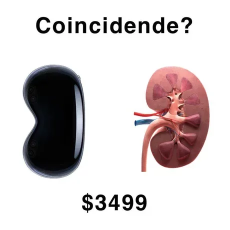 1686210998121.png