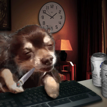 2fcaf3273ac2c758c3e0be27821.gif