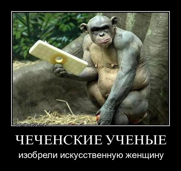 upload_2013-10-23_15-53-16.png