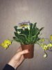 IMG-20180131-WA0028.jpg